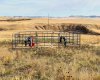 NE-S11-T30-R19-w4, Rural Starland County, Alberta T0J 0Y0, ,Land,For Sale,NE-S11-T30-R19-w4,A2272176