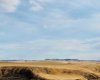 NE-S11-T30-R19-w4, Rural Starland County, Alberta T0J 0Y0, ,Land,For Sale,NE-S11-T30-R19-w4,A2272176
