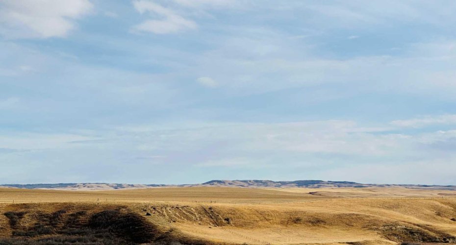 NE-S11-T30-R19-w4, Rural Starland County, Alberta T0J 0Y0, ,Land,For Sale,NE-S11-T30-R19-w4,A2272176