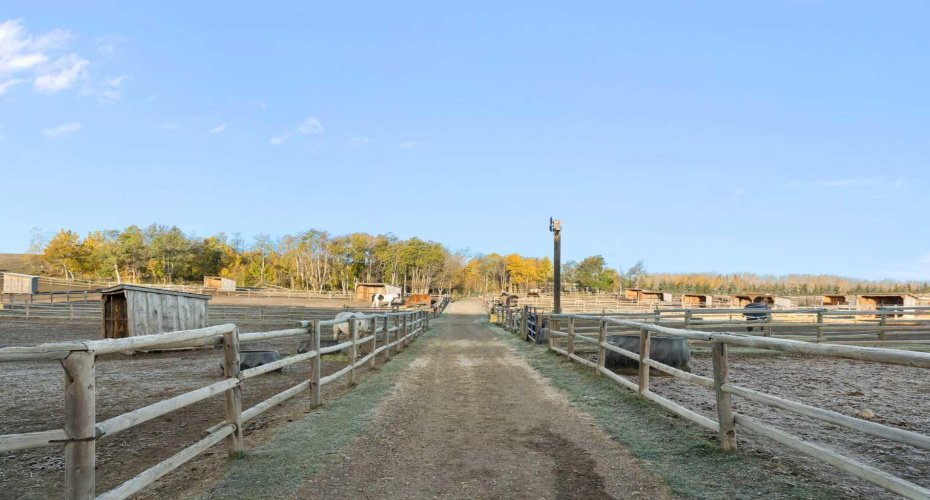 Post and rail paddocks with shelters