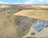 Permanent paddocks with 74 acres behind planted with hay for 2026