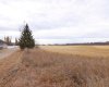 6510 Hwy 53 Highway, Ponoka, Alberta T4J 1K3, ,Land,For Sale,Hwy 53,A2272356