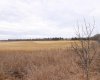 6510 Hwy 53 Highway, Ponoka, Alberta T4J 1K3, ,Land,For Sale,Hwy 53,A2272356