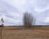 6510 Hwy 53 Highway, Ponoka, Alberta T4J 1K3, ,Land,For Sale,Hwy 53,A2272356