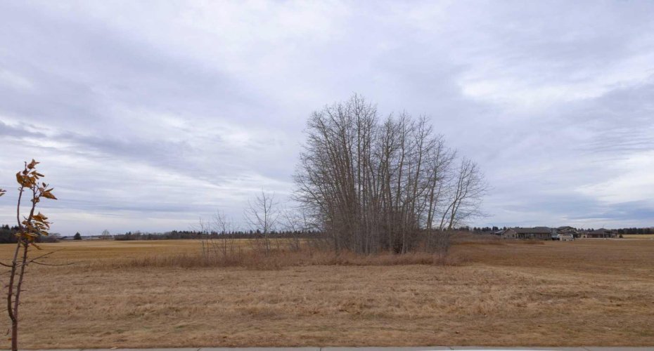 6510 Hwy 53 Highway, Ponoka, Alberta T4J 1K3, ,Land,For Sale,Hwy 53,A2272356