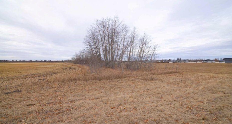6510 Hwy 53 Highway, Ponoka, Alberta T4J 1K3, ,Land,For Sale,Hwy 53,A2272356