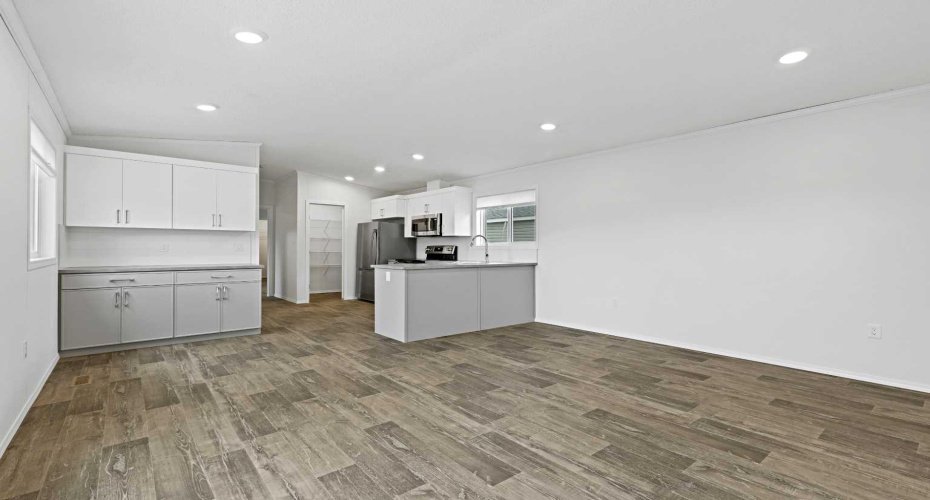 Large living room