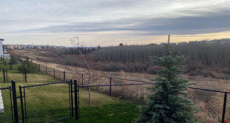 Ravine Views