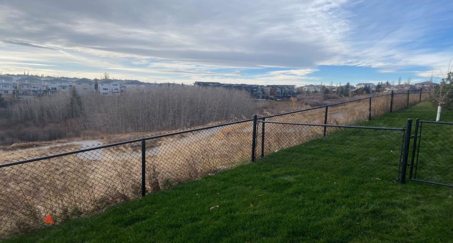Ravine Views
