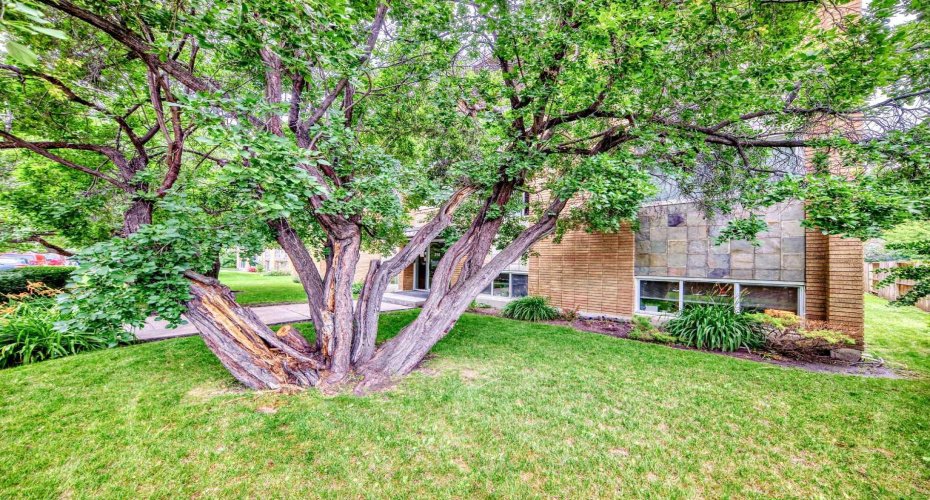310 22 Avenue, Calgary, Alberta T2S 0H4, 1 Bedroom Bedrooms, ,1 BathroomBathrooms,Residential,For Sale,22,A2273844