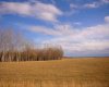 33-82-19-W5, Rural Northern Sunrise County, Alberta T8S 1R8, ,Land,For Sale,33-82-19-W5,A2274887