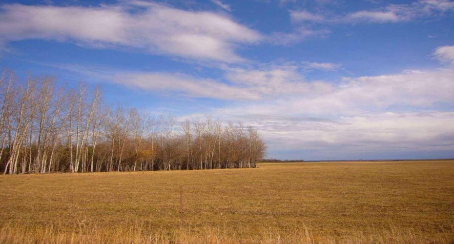 33-82-19-W5, Rural Northern Sunrise County, Alberta T8S 1R8, ,Land,For Sale,33-82-19-W5,A2274887