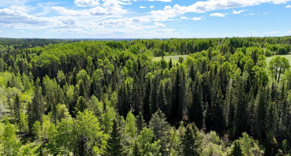 5544 Township Road 302, Rural Mountain View County, Alberta T0M 0R0, 4 Bedrooms Bedrooms, ,4 BathroomsBathrooms,Residential,For Sale,Township Road 302,A2274890