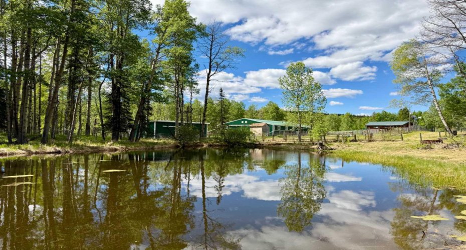 5544 Township Road 302, Rural Mountain View County, Alberta T0M 0R0, 4 Bedrooms Bedrooms, ,4 BathroomsBathrooms,Residential,For Sale,Township Road 302,A2274890