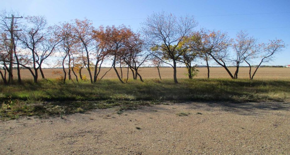 920083 HWY 35, Rural Northern Lights, County of, Alberta T0H 2M0, ,Land,For Sale,920083 HWY 35,A2258289