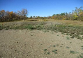 920083 HWY 35, Rural Northern Lights, County of, Alberta T0H 2M0, ,Land,For Sale,920083 HWY 35,A2258289