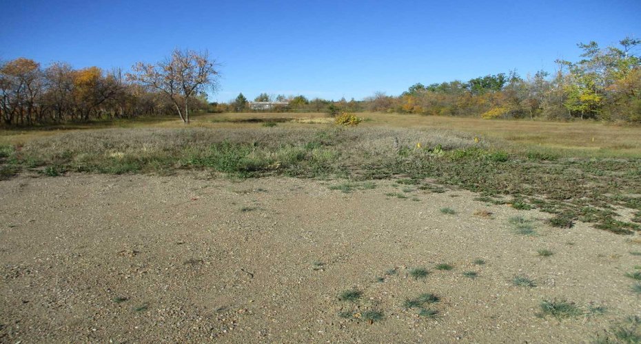 920083 HWY 35, Rural Northern Lights, County of, Alberta T0H 2M0, ,Land,For Sale,920083 HWY 35,A2258289