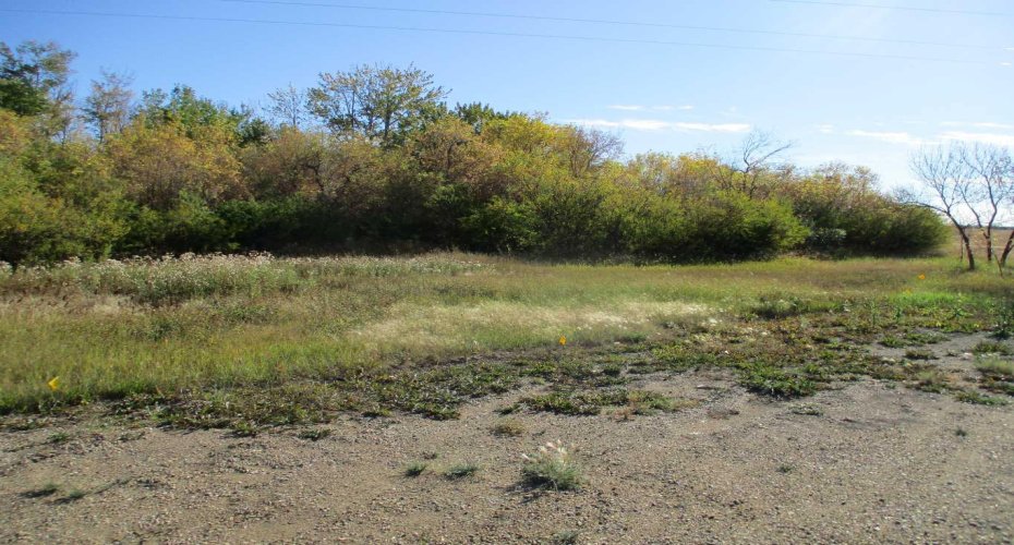 920083 HWY 35, Rural Northern Lights, County of, Alberta T0H 2M0, ,Land,For Sale,920083 HWY 35,A2258289