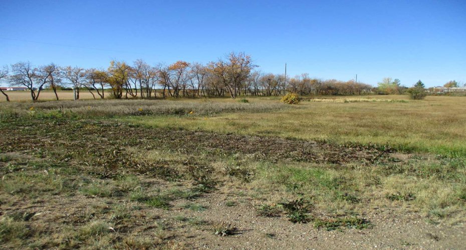 920083 HWY 35, Rural Northern Lights, County of, Alberta T0H 2M0, ,Land,For Sale,920083 HWY 35,A2258289