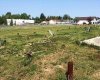 7 Cherry Lane, Three Hills, Alberta T0M 2A0, ,Land,For Sale,Cherry,A2270654