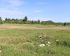 75A Ansel Tower Road, Edson, Alberta T7E 0A1, ,Commercial,For Sale,Ansel Tower Road,A2233017