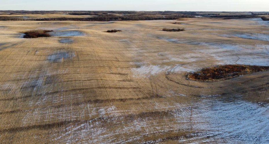 NE 23-53-13-W4 & SE 23-53-13-W4, Rural Two Hills No. 21, County of, Alberta T9C 1R9, ,Land,For Sale,SE 23-53-13-W4,A2270644