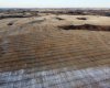 NE 23-53-13-W4 & SE 23-53-13-W4, Rural Two Hills No. 21, County of, Alberta T9C 1R9, ,Land,For Sale,SE 23-53-13-W4,A2270644
