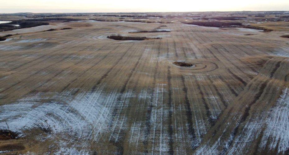 NE 23-53-13-W4 & SE 23-53-13-W4, Rural Two Hills No. 21, County of, Alberta T9C 1R9, ,Land,For Sale,SE 23-53-13-W4,A2270644