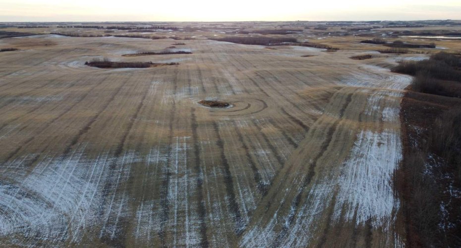 NE 23-53-13-W4 & SE 23-53-13-W4, Rural Two Hills No. 21, County of, Alberta T9C 1R9, ,Land,For Sale,SE 23-53-13-W4,A2270644