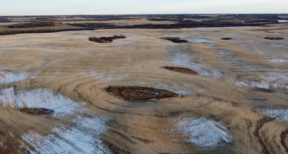 NE 23-53-13-W4 & SE 23-53-13-W4, Rural Two Hills No. 21, County of, Alberta T9C 1R9, ,Land,For Sale,SE 23-53-13-W4,A2270644