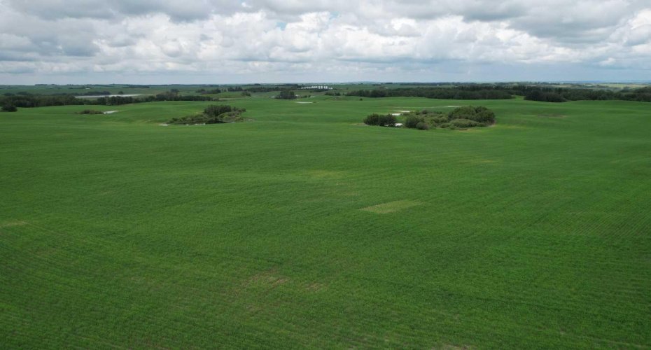 NE 23-53-13-W4 & SE 23-53-13-W4, Rural Two Hills No. 21, County of, Alberta T9C 1R9, ,Land,For Sale,SE 23-53-13-W4,A2270644