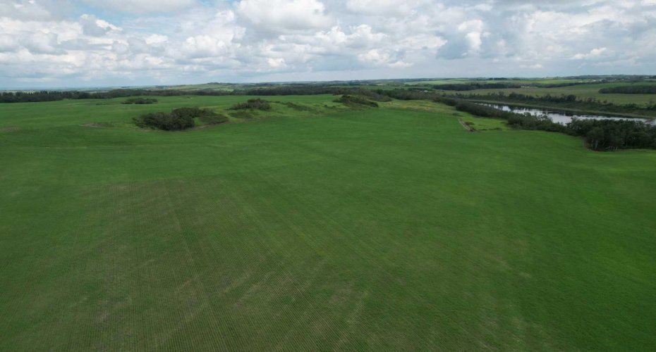 NE 23-53-13-W4 & SE 23-53-13-W4, Rural Two Hills No. 21, County of, Alberta T9C 1R9, ,Land,For Sale,SE 23-53-13-W4,A2270644