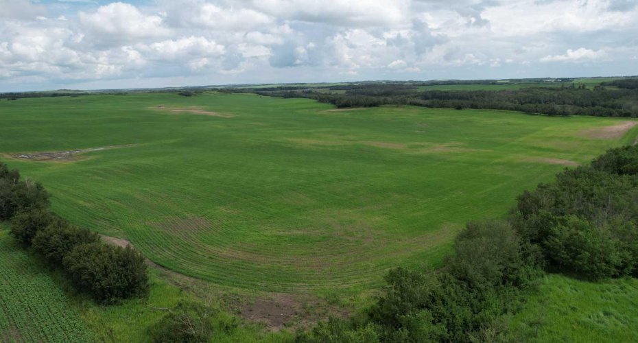 NE 23-53-13-W4 & SE 23-53-13-W4, Rural Two Hills No. 21, County of, Alberta T9C 1R9, ,Land,For Sale,SE 23-53-13-W4,A2270644
