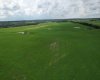 NE 23-53-13-W4 & SE 23-53-13-W4, Rural Two Hills No. 21, County of, Alberta T9C 1R9, ,Land,For Sale,SE 23-53-13-W4,A2270644