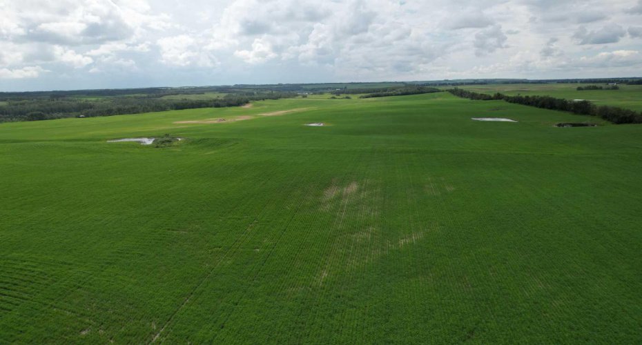 NE 23-53-13-W4 & SE 23-53-13-W4, Rural Two Hills No. 21, County of, Alberta T9C 1R9, ,Land,For Sale,SE 23-53-13-W4,A2270644