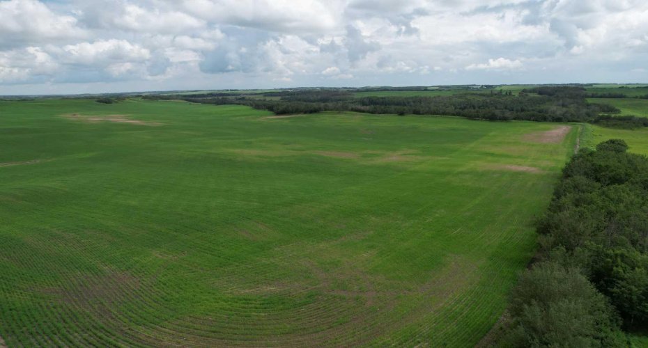 NE 23-53-13-W4 & SE 23-53-13-W4, Rural Two Hills No. 21, County of, Alberta T9C 1R9, ,Land,For Sale,SE 23-53-13-W4,A2270644