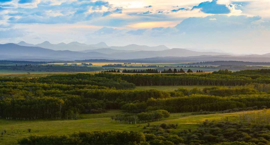 SW Corner of Range Road 35 & Springbank Road, Rural Rocky View County, Alberta T3Z 2R3, ,Land,For Sale,SW Corner of Range Road 35 & Springbank Road,A2275667