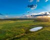 SW Corner of Range Road 35 & Springbank Road, Rural Rocky View County, Alberta T3Z 2R3, ,Land,For Sale,SW Corner of Range Road 35 & Springbank Road,A2275667