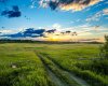 SW Corner of Range Road 35 & Springbank Road, Rural Rocky View County, Alberta T3Z 2R3, ,Land,For Sale,SW Corner of Range Road 35 & Springbank Road,A2275667