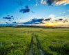 SW Corner of Range Road 35 & Springbank Road, Rural Rocky View County, Alberta T3Z 2R3, ,Land,For Sale,SW Corner of Range Road 35 & Springbank Road,A2275667