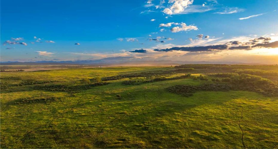 SW Corner of Range Road 35 & Springbank Road, Rural Rocky View County, Alberta T3Z 2R3, ,Land,For Sale,SW Corner of Range Road 35 & Springbank Road,A2275667
