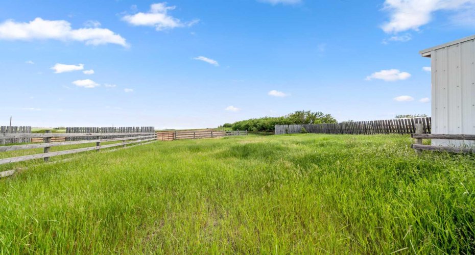 Pasture & Corral Area