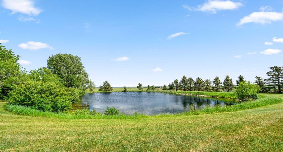 Trout Stocked Pond