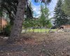 1711, 1715 92 Avenue, Calgary, Alberta T2V5C8, ,Land,For Sale,92,A2272863