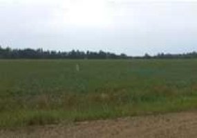 5709 53 Avenue, High Prairie, Alberta T0G 1E0, ,Land,For Sale,53,A2276021