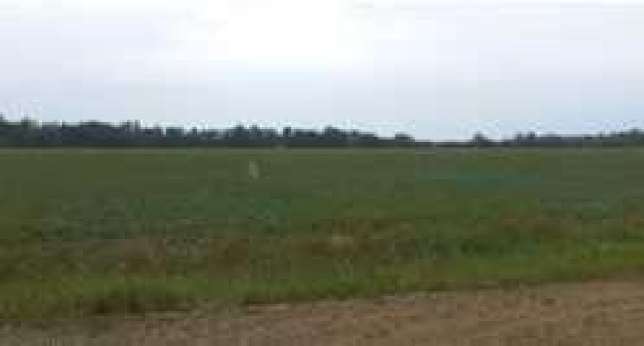 5709 53 Avenue, High Prairie, Alberta T0G 1E0, ,Land,For Sale,53,A2276021