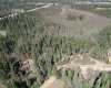 On Highway 2A, Rural Ponoka County, Alberta T4J 1R5, ,Land,For Sale,Highway 2A,A2276041