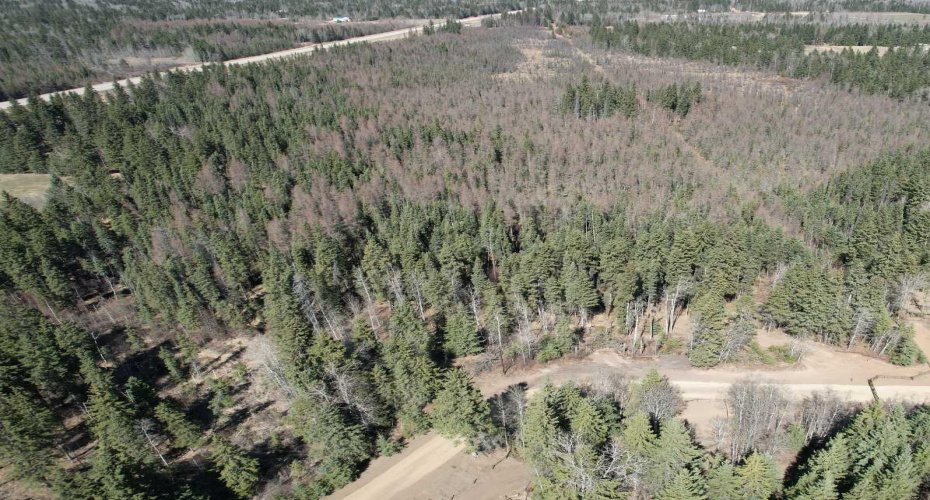 On Highway 2A, Rural Ponoka County, Alberta T4J 1R5, ,Land,For Sale,Highway 2A,A2276041