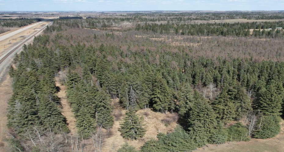 On Highway 2A, Rural Ponoka County, Alberta T4J 1R5, ,Land,For Sale,Highway 2A,A2276041