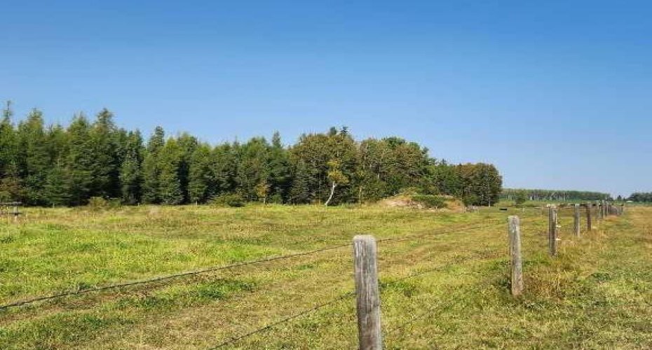 Range Road 6.2, Rural Clearwater County, Alberta T0M 0C0, ,Land,For Sale,Range Road 6.2,A2269590